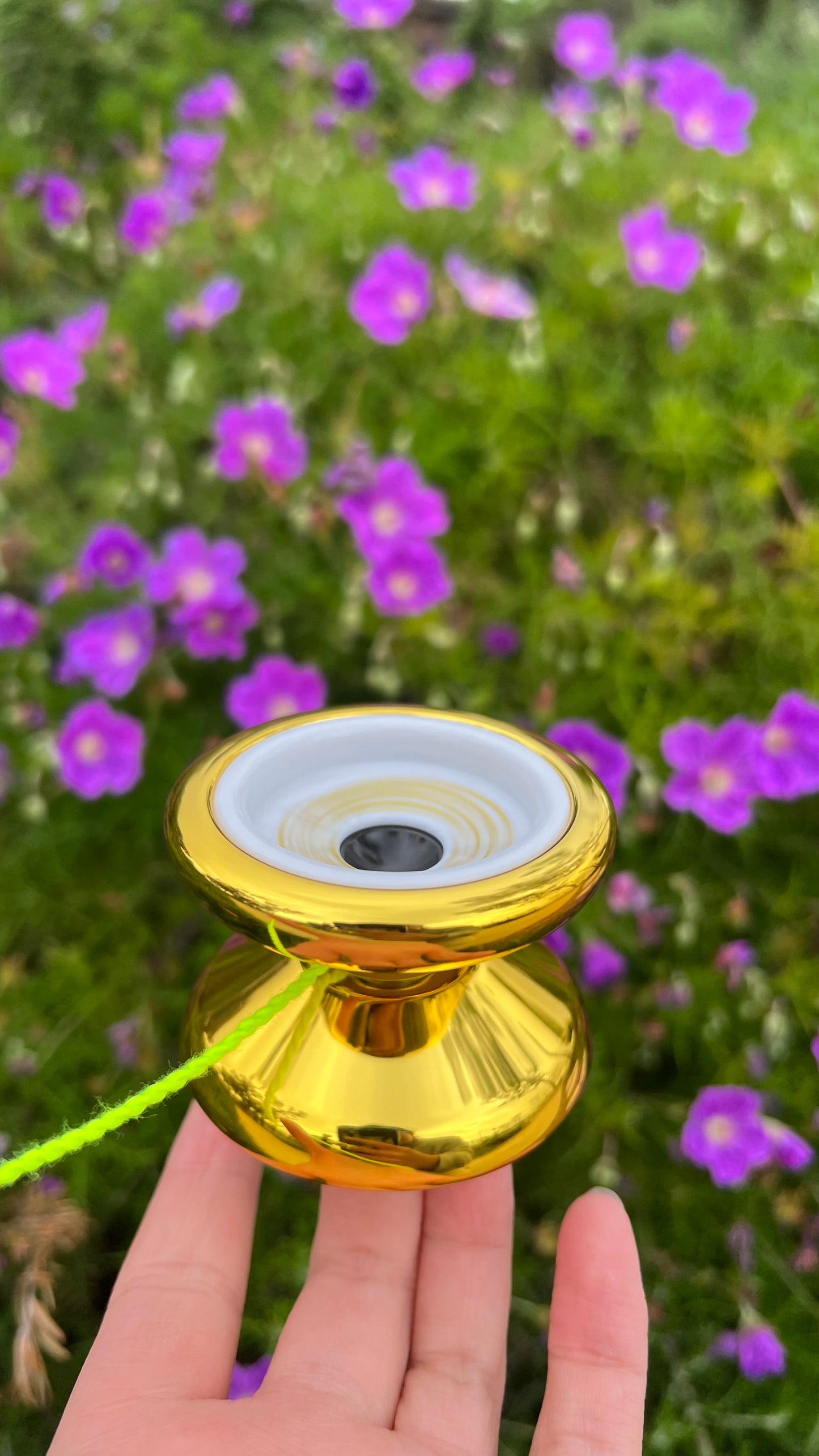 AXOLOTL PC yoyo Betty Gallegos
