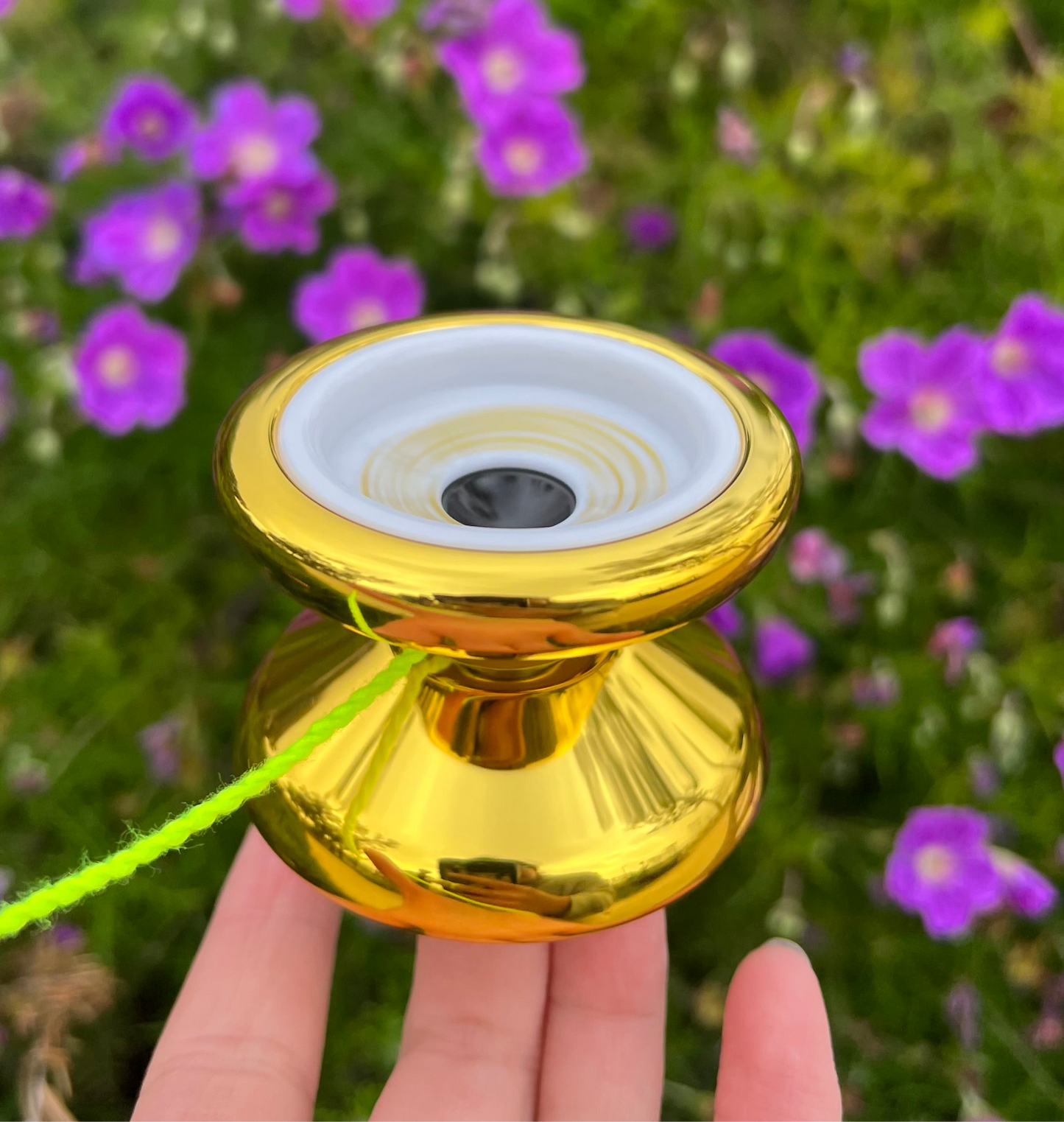 AXOLOTL PC yoyo Betty Gallegos