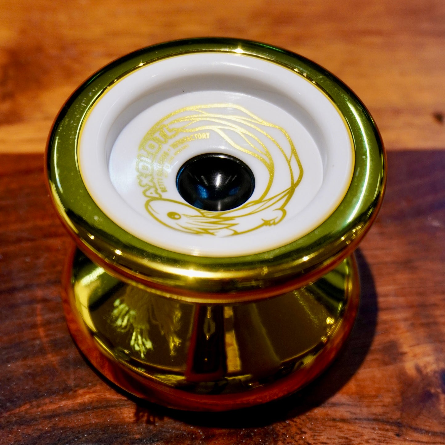 AXOLOTL PC yoyo Betty Gallegos
