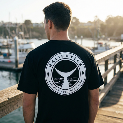 V10 - yoyo magicyoyo