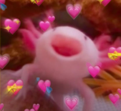 AXOLOTL BETTY GALLEGOS T-SHIRT